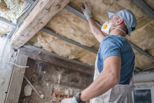 Best Affordable Insulation Services  in Kirksville, MO