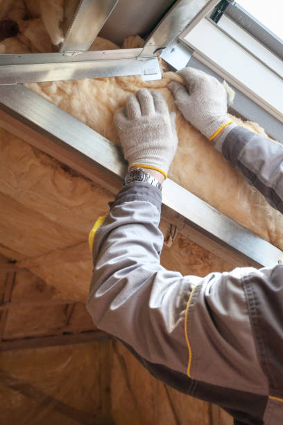 Best Energy-efficient Insulation  in Kirksville, MO
