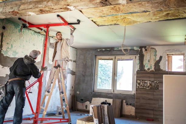 Best Residential Insulation Services  in Kirksville, MO