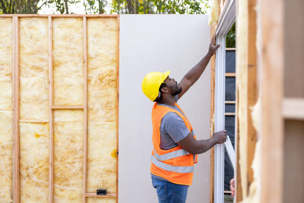 Best Blown-in Insulation  in Kirksville, MO