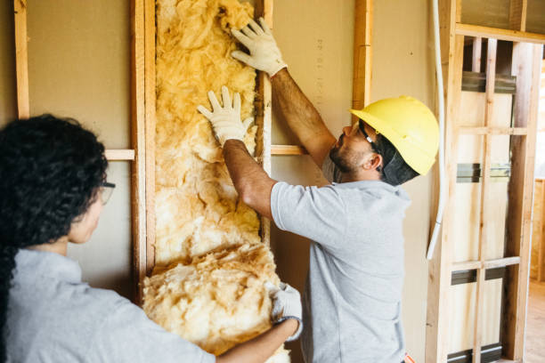 Best Attic Insulation Installation  in Kirksville, MO