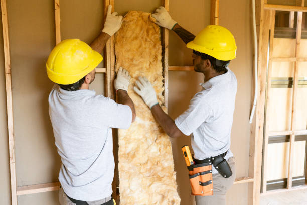 Best Insulation Replacement Services  in Kirksville, MO