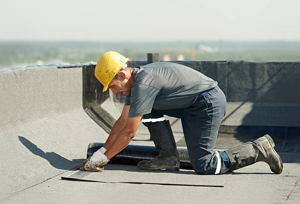 Best Insulation Removal  in Kirksville, MO