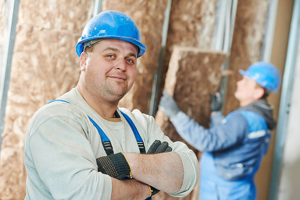 Best Insulation Inspection Services  in Kirksville, MO